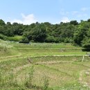 한새봉농업생태공원 이미지