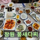 불새다찌 | 창원 상남동 불새다찌 내돈내산 [솔직후기]