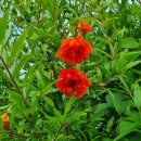 무룡농장 이미지