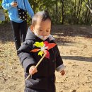 가을 숲으로 놀러가자 이미지