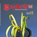 2024년 11월호 표지와 목차 이미지