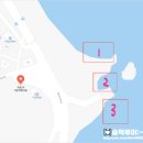 울진 거일1리어촌체험마을 | 울진 스노쿨링명소💙 거일1리 어촌체험마을, 울진 스카이워크 앞바다
