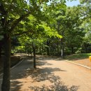 제목:[신일중 설명회 후기] 변화하는 대입 개편안 속...맞는 고등학교 선택 가이드-후곡마을부동산