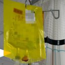 울진북로4 (중1-1) | 유방암 TC 항암 4차 중 1차 후기