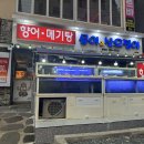 문어와산오징어 이미지