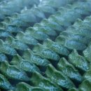 맛고을떡집 이미지