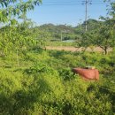 오계리농장 이미지