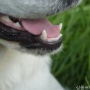 상동모아치과의원 | 부천치과 상동모아치과의원 믿음직한 치료진
