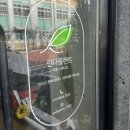 (원데이) 그린 플랜트 이미지