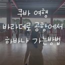 하바나 티스토리