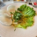 🇻🇳하롱베이 크루즈 여행 @그랜드 파이오니어
