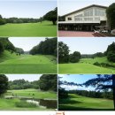 (주)레인보우여행사