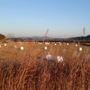 양지세천 이미지