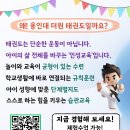 용인대 더원 태권도장 이미지