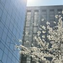 제주 이쁘냥 고양이미용실 | 4월 일상 누수라니 나에게 왜 이런 일이