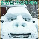플라워마트 이미지