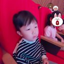 시아와 친구들 : 트레저 헌터즈 | 전남장흥)어린이뮤지컬 시아와친구들 : 트레저헌터즈 -5살4살 아이와 함께