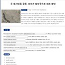 474_Fossilised footprints 이미지