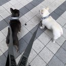 제이에프코퍼레이션