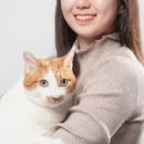 서울고양이미용실 네이버블로그