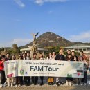 가자관광여행사 이미지