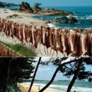 계곡1번지 이미지