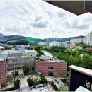 ACE공인중개사사무소 이미지