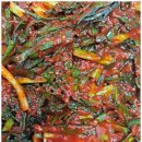 동읍1236 이미지