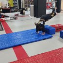 현무관 합기도 이미지