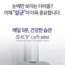 스카이300
