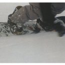 스노우 글로벌