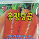 빨간당근 이미지