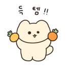 카페스윔(cafe swim)