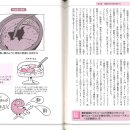 발효의 책 36 Nata de coco도 초산균이 관여 이미지