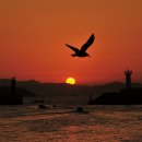 해뜨는마을 이미지