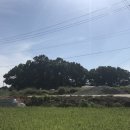 복운2리마을회관 이미지