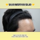 헤어라인 - 부안군 청자로 951 | 헤어라인