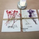 플라워 테라피(A) 이미지