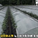 김천아그로 이미지