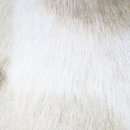 금비동물병원 이미지