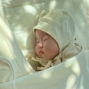 키드베베 이미지