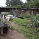 김성광 농장 이미지