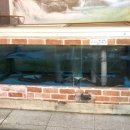 황강장어 이미지