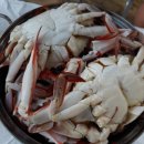 몽산포패밀리데이캠핑장 이미지