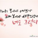 자세히 보아야 예쁘다 이미지