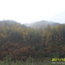 계원리두원 이미지