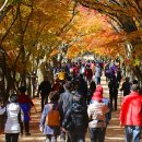 백양사 종주코스 이미지