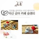 숨앤티 이미지