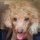 광무북1길 이미지