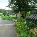 진중2리 네이버블로그